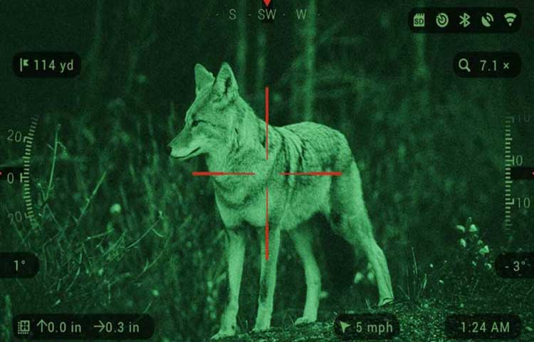 Best night vision scope for coyote hunting