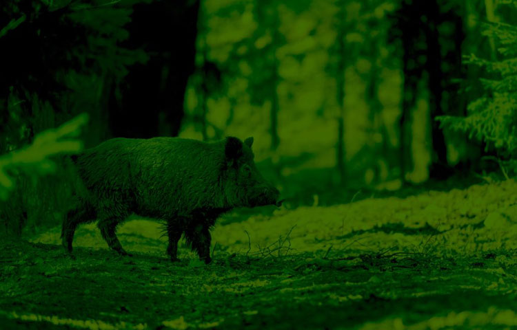 best night vision scope