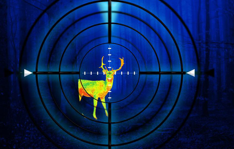 best thermal scope
