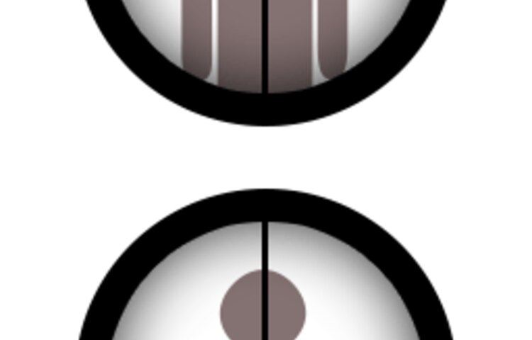 Scope Parallax – Everything You Need to Know